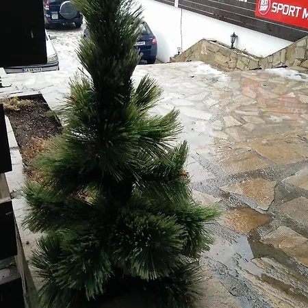 Pirin Palace White Daire